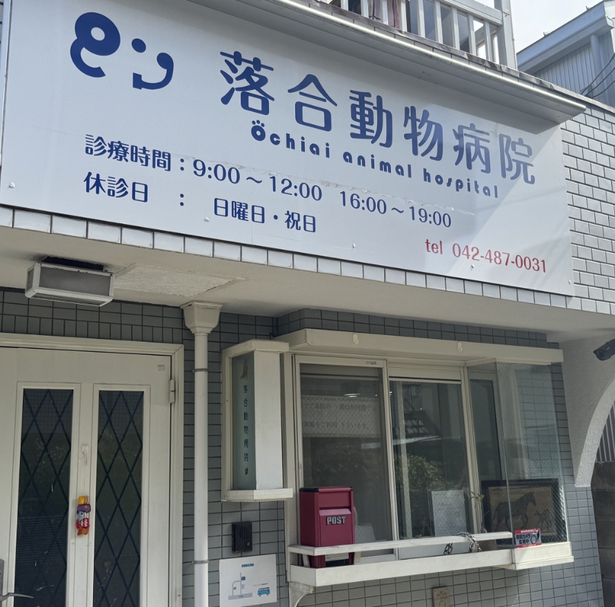 調布市の落合動物病院