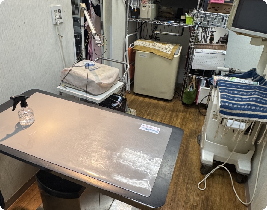 調布市の落合動物病院 一般診療